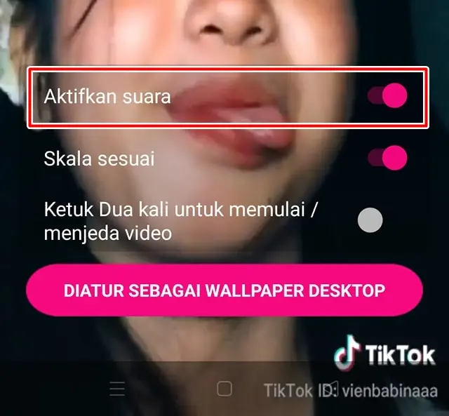 Aktifkan Suara